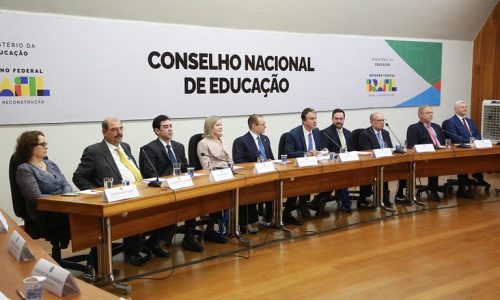 Diretrizes Curriculares Nacionais (DCNs)